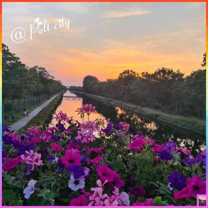NeerpeltLa Rose住宿加早餐旅馆 外观 照片