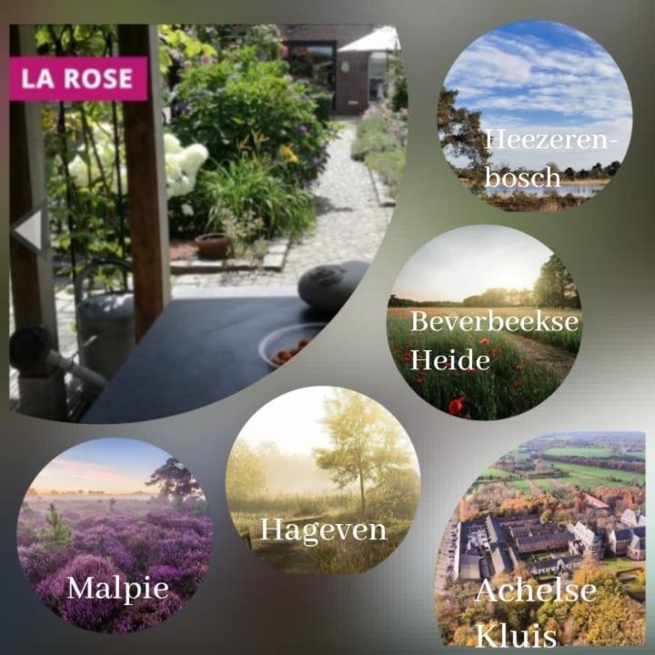 NeerpeltLa Rose住宿加早餐旅馆 外观 照片