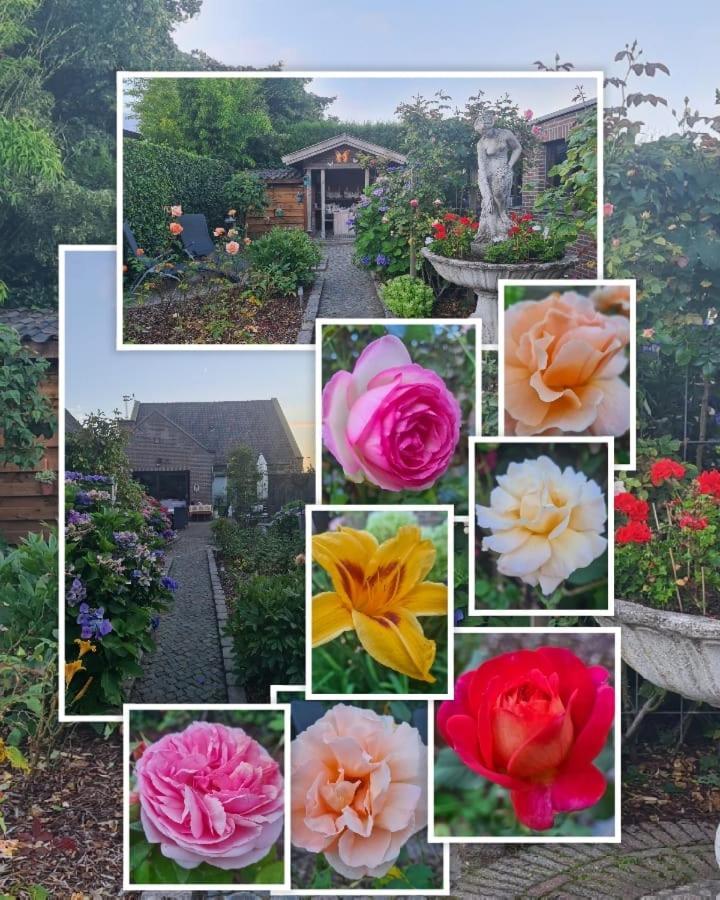 NeerpeltLa Rose住宿加早餐旅馆 外观 照片