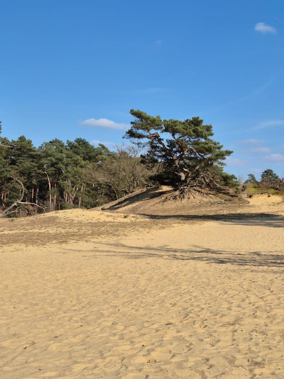 NeerpeltLa Rose住宿加早餐旅馆 外观 照片